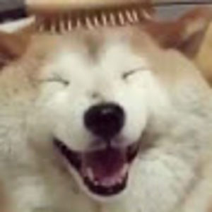 Meet your Posher, Alan